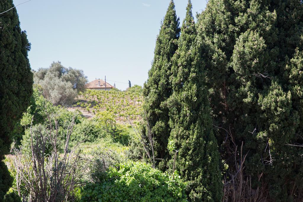 Residence La Source Toulon Bagian luar foto